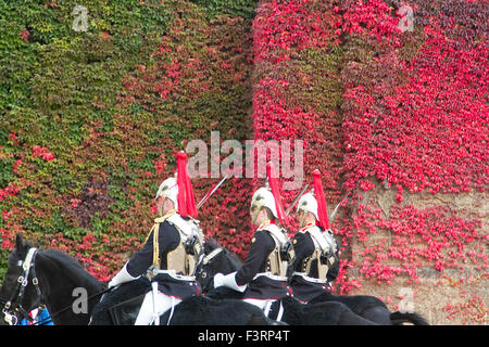 London, UK. 12. Oktober 2015. Mitglieder der Household Cavalry Fahrt vorbei an einer Wand des japanischen Ivy in Admiralty, die zu Beginn wechseln ihre Farben im Herbst Saison Credit: Amer Ghazzal/Alamy Live-Nachrichten Stockfoto
