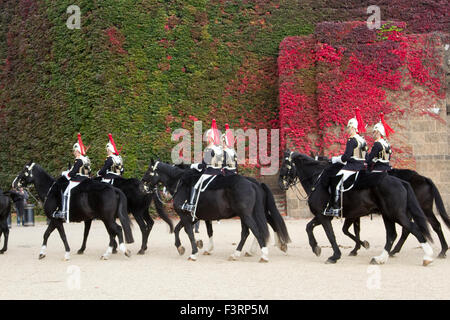 London, UK. 12. Oktober 2015. Mitglieder der Household Cavalry Fahrt vorbei an einer Wand des japanischen Ivy in Admiralty, die zu Beginn wechseln ihre Farben im Herbst Saison Credit: Amer Ghazzal/Alamy Live-Nachrichten Stockfoto