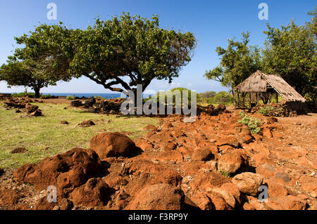 Lapakahi State Historical Park, wo hawaiische Fischer lebten Jahrhunderte lang, bis der Ort ohne Wasser übrig blieb. Big Island. Stockfoto