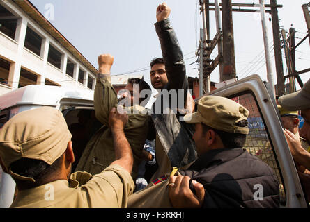 Srinagar, Kaschmir Indien kontrollierten. 12. Oktober 2015. Indische Polizei verhaften Demonstranten während einer Protestaktion in Srinagar, Sommer in der Hauptstadt von Indien kontrollierten Kaschmir, 12. Oktober 2015. Leben in mehrheitlich muslimischen Gebieten von Indien kontrollierten Kaschmir Montag blieb betroffenen aufgrund der Abschaltung gegen einen mörderischen Angriff auf Kashmiri LKW-Fahrer, sagten Beamte. Bildnachweis: Javed Dar/Xinhua/Alamy Live-Nachrichten Stockfoto