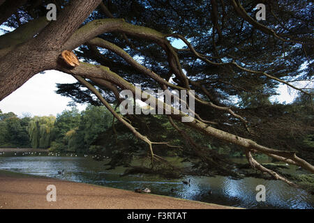 Osterley Park und Haus, georgische Landsitz in West London, Isleworth, England, Vereinigtes Königreich Stockfoto