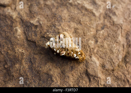 Stone, Stones, Stapel, Schicht, Schichten, auf Spitze, Ebene, Holding, stationäre, platzierte, Muster, Detail, schließen, herauf, Makro, Textur, Bok Stockfoto