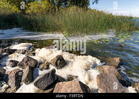 Weißer Schaum Verschmutzung im Fluss Dnepr in Kiew Stockfoto