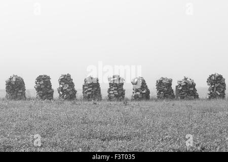 Holz Trocknung auf Luft für die Wintersaison im Nebel. Stockfoto