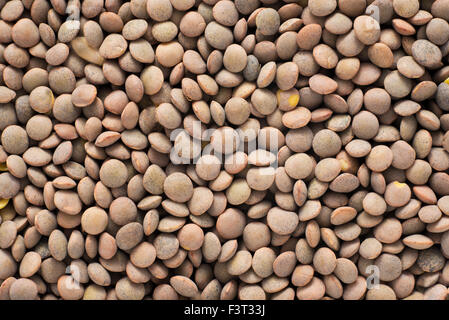 Bild von braune Linsen über flache Oberfläche Stockfoto
