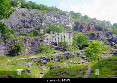 Der Kalkstein Cheddar Gorge in den Mendip Hills in der Nähe des Dorfes Cheddar in Somerset. Stockfoto