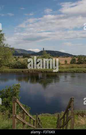 Das National Wallace Monument, Stirling, Schottland. Stockfoto