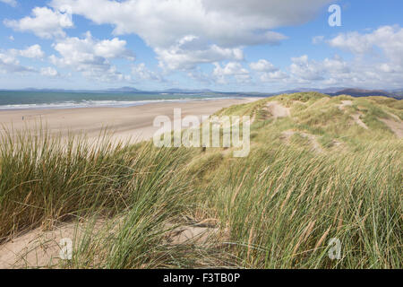 Harlech Strand von den Sanddünen, Harlech, Gwynedd, Wales, UK Stockfoto