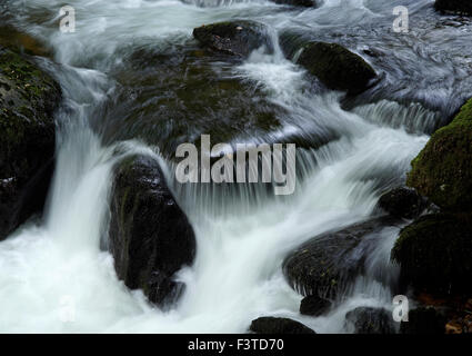 Die East Lyn River in der Nähe von Watersmeet, Exmoor, Devon, England, UK Stockfoto