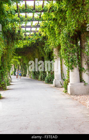 Garten Torbogen bedeckt mit grünen Blättern - Pergola, Wroclaw, Polen Stockfoto