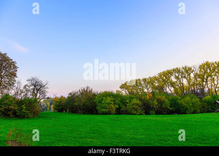 Bunte Bäume und Sträucher auf der grünen Wiese im Herbst Zeit Stockfoto