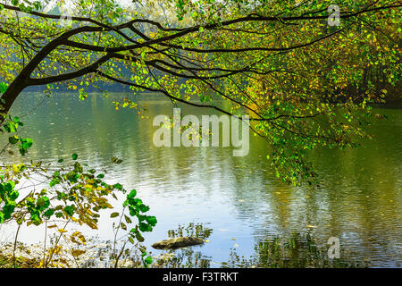 Ast mit bunten Blätter über See im Herbst Stockfoto