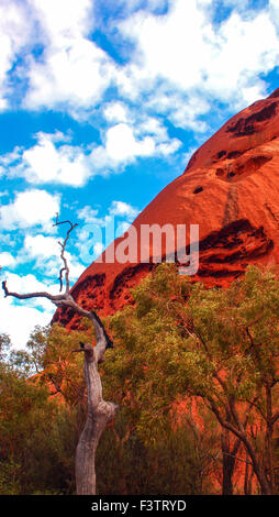 Roten Felsen Uluru-Katatjuta National Park, Australien Stockfoto