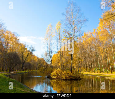 Herbstlandschaft - goldene Birkenwald am Ufer des Sees mit Reflexion und kleine Insel mit Birken, aufgenommen am Putyaevsk Stockfoto