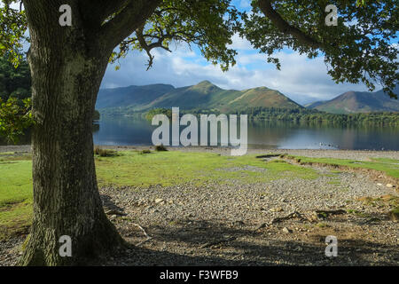 Blick über Derwent Water im Lake District Stockfoto