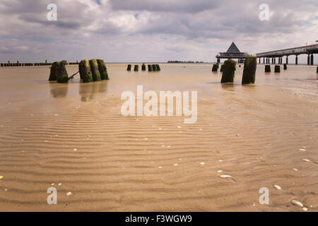 Buhnen am Ostsee-Strand Stockfoto