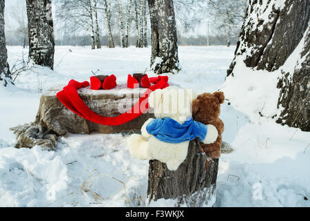 Teddy Bären ruhen im Winterwald Stockfoto