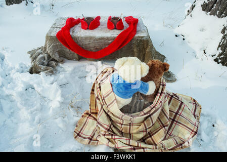 Teddy Bären ruhen im Winterwald Stockfoto