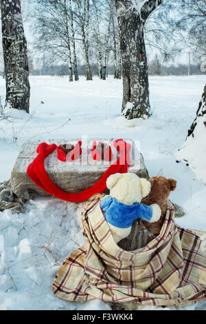 Teddy Bären ruhen im Winterwald Stockfoto