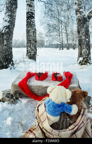 Teddy Bären ruhen im Winterwald Stockfoto