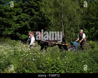 Kahn, gezogen auf dem Cromford-Kanal in der Nähe von Matlock in Derbyshire, England Stockfoto