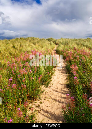 Sandy-Pfad durch die Dünen an der Druridge Bucht in der Nähe von schlendern am Meer an der Northumberland Küste Englands Stockfoto