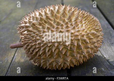 Eine Durian-Frucht auf einem Holztisch Stockfoto