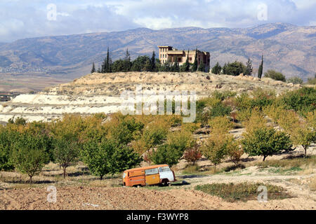 Herbst im Bekaa-Tal Stockfoto