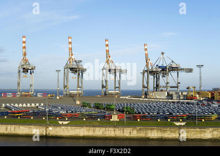 Containerharbour Bremerhaven Stockfoto