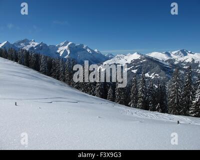 Oldenhorn Berge und Wald Stockfoto