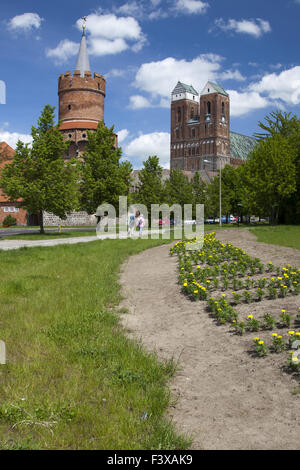 St. Marienkirche in Prenzlau, Uckermark Stockfoto