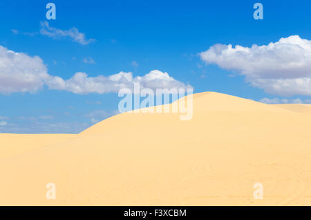 Sand Dünen der Wüste Stockfoto