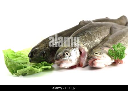 drei Forellen auf weißem Hintergrund Stockfoto