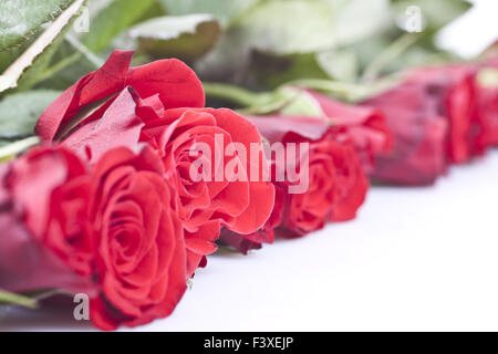 Rote Rosen Stockfoto