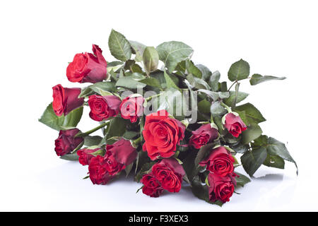 Rote Rosen Stockfoto