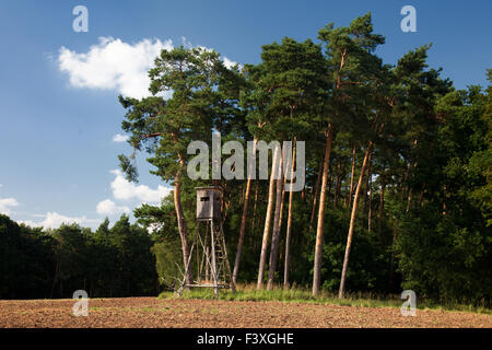 Hunter Stand am Rande Stockfoto