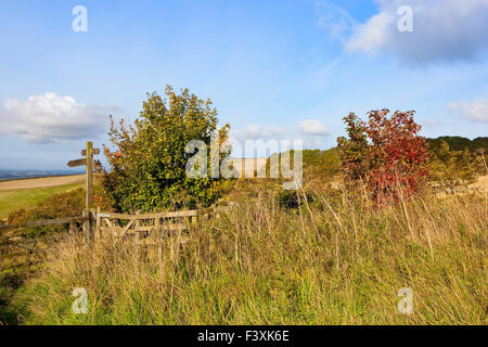 Ein Wegweiser durch ein rustikales Tor auf einem öffentlichen Wanderweg auf den malerischen Yorkshire Wolds an einem schönen Oktobertag. Stockfoto