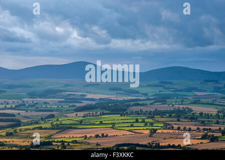 Ansicht des Hedgehop im Bereich von Cheviot gesehen von Dove Crag auf Simonside, Northumberland National Park, England Stockfoto