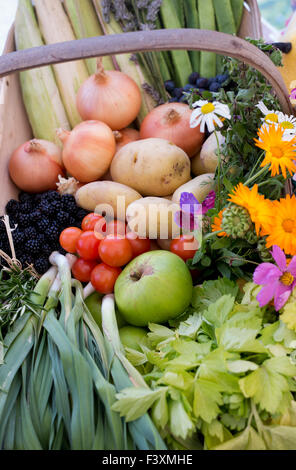 Gemüse Trug Displays bei einer Show. VEREINIGTES KÖNIGREICH Stockfoto