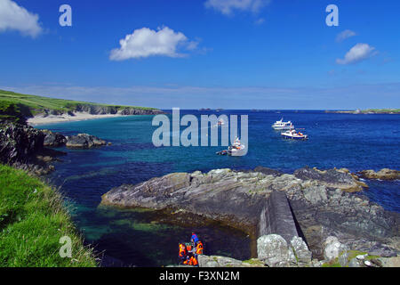 Hafen aus Blaskets Islands Stockfoto