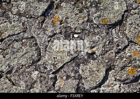 Stonewall Stockfoto