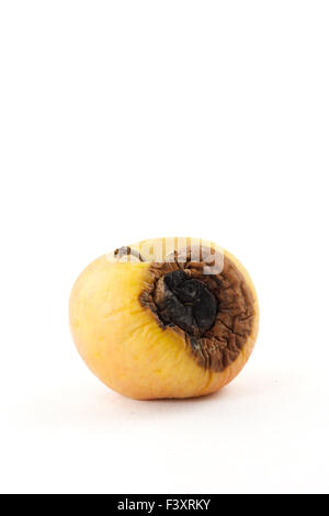 fauler Apfel Stockfoto