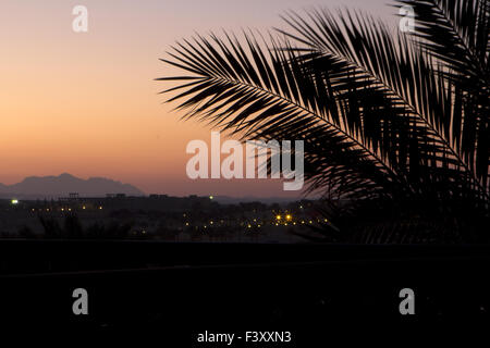 Marsa Alam in Ägypten Sonnenuntergang Stockfoto