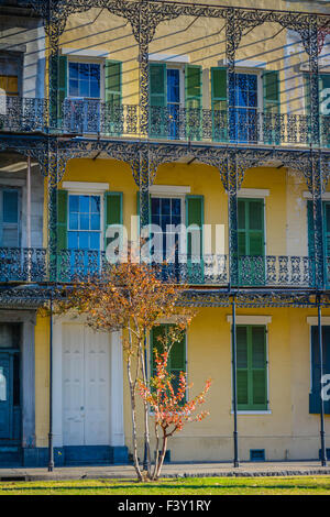 Fein verzierten schwarzen schmiedeeisernen Balkonen umrahmen einen kreolischen Stil Stadthaus Gebäude in der Nähe des French Quarter, New Orleans, LA Stockfoto