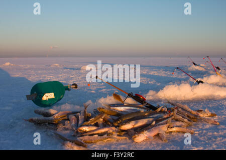 fangen an Ostsee Stockfoto