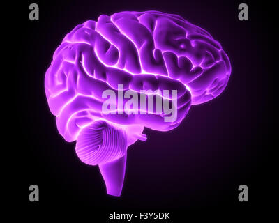 3D gerenderten Illustration - Gehirn Stockfoto