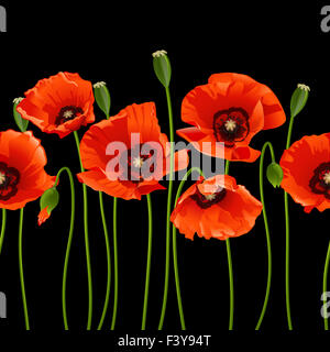 Rote Mohnblumen in einer Reihe. Stockfoto