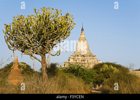 Shwesandaw Pagode, Old Bagan, Myanmar, Asien Stockfoto