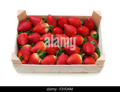 Erdbeeren mit einer Holzkiste. Stockfoto