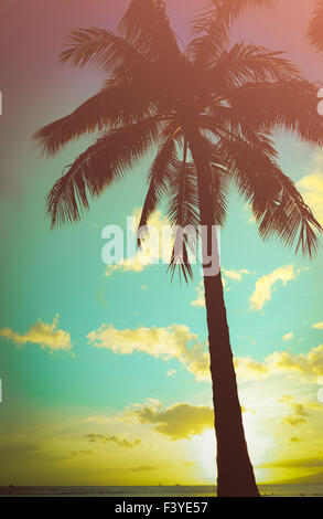 Retro Stil Hawaii Palme Stockfoto